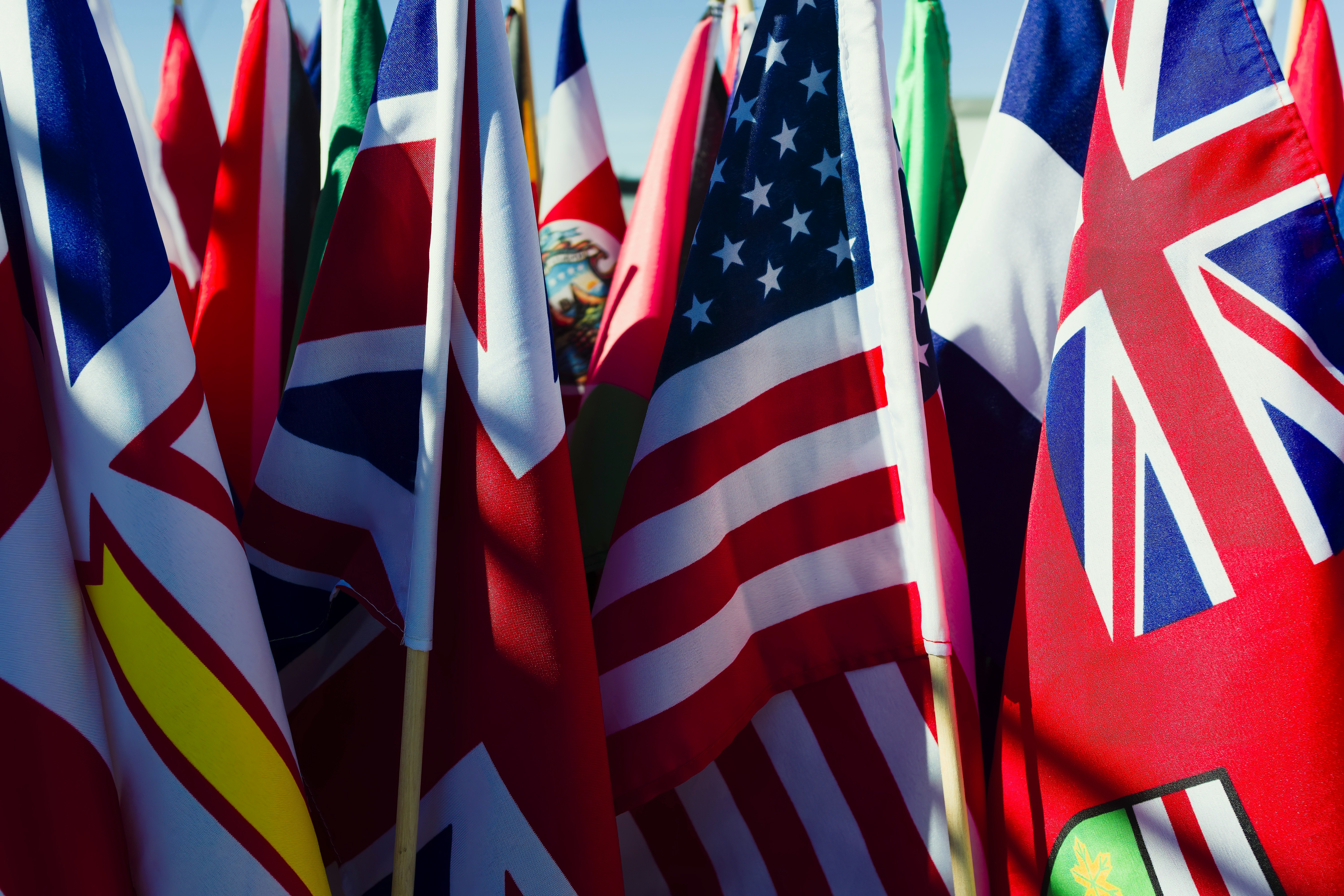 Global business and consultation